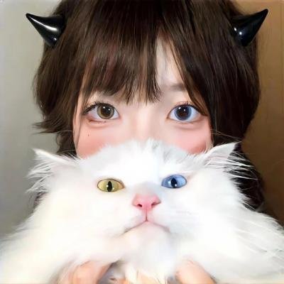 范丹戈 在线观看